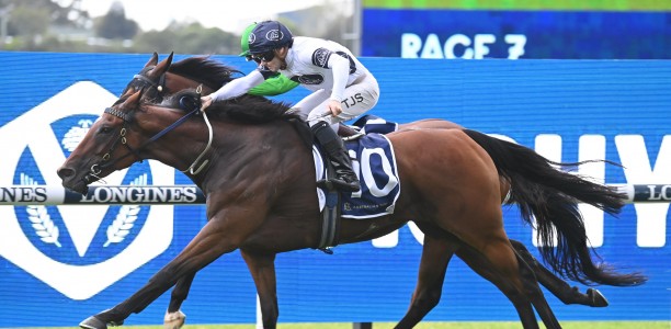 Two more Melbourne Cup horses ruled out of field