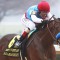 Arabian Knight for $6m Breeders’ Cup Classic