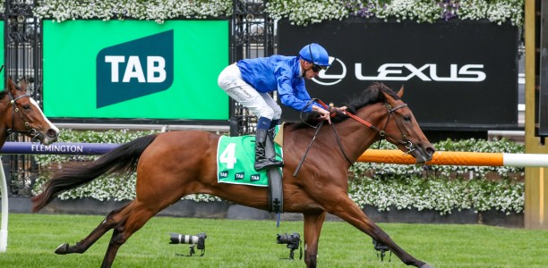 Zardozi will chase the Wakeful Stakes