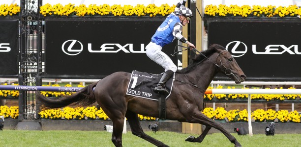 Melbourne Cup 2023: Betting Site offering $20 Odds for Gold Trip or Ashrun to win