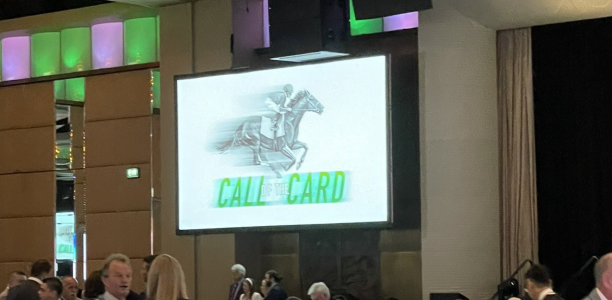 Melbourne Cup Big Bets at the Call Of The Card – 2023