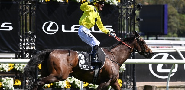 Melbourne Cup 2023 – What the jockeys said