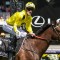 Without A Fight opens favourite for the Melbourne Cup 2024