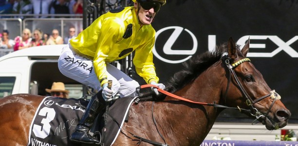 Without A Fight opens favourite for the Melbourne Cup 2024
