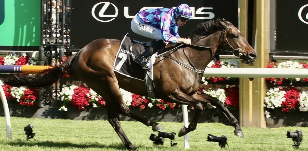 Pride Of Jenni could be set for Royal Ascot
