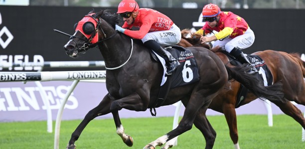 The Hunter odds suggests a wide open field