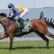 Top jockey Tom Berry back in Perth for Railway Stakes