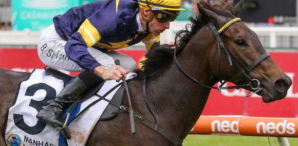 Star filly heads odds in wide open Thousand Guineas field