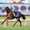 Pride and Schiller Crush them in The Hunter