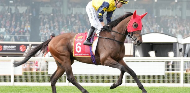 Racing Victoria considers rule change for International horses