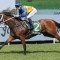 Sydney raider heads odds in the Railway Stakes
