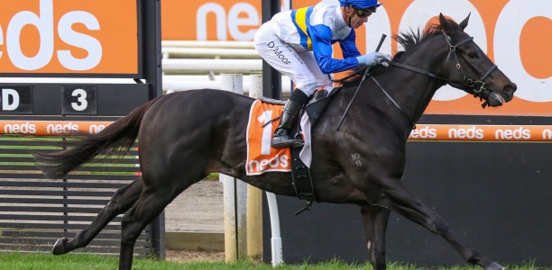 Jigsaw to chase second Apache Cat Classic