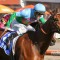 Eastern raider heads odds in the Railway Stakes