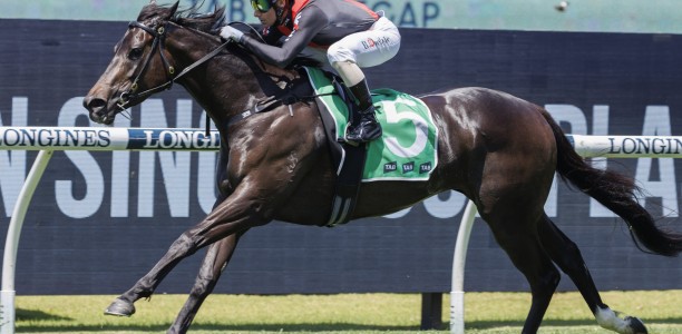 Eagle Nest honing on Doomben target