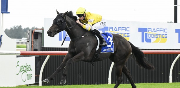 Blinkers a Blessing for John Thompson’s charge