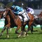 Rosehill trainers in two-pronged Festival Stakes assault
