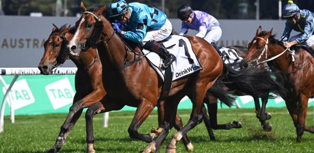Rosehill trainers in two-pronged Festival Stakes assault