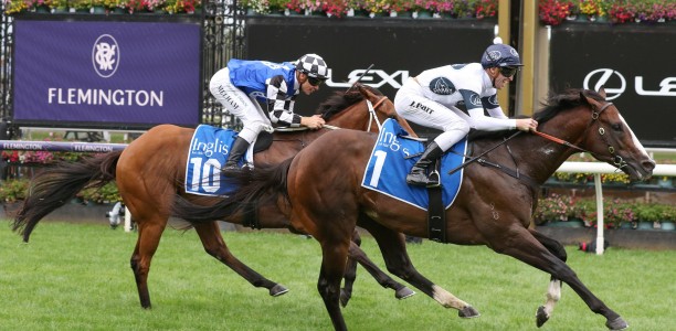 Overpass heads odds in the Winterbottom Stakes