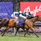 Zennzella set for highly anticipated comeback in Summoned Stakes