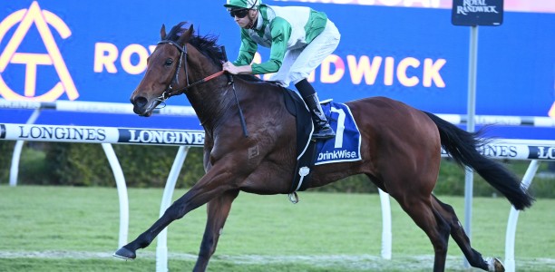 Distance test for Phearson in Festival Stakes