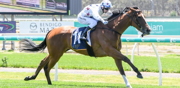 Blinkers to assist Alectrona