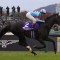 World’s best racehorse Equinox retired