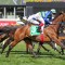 Shock as stayer out of Zipping Classic and campaign over