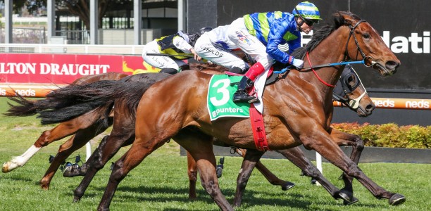 Shock as stayer out of Zipping Classic and campaign over