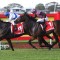 Zoustyle zips away with George Moore Stakes