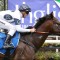 Overpass too good in the Winterbottom Stakes