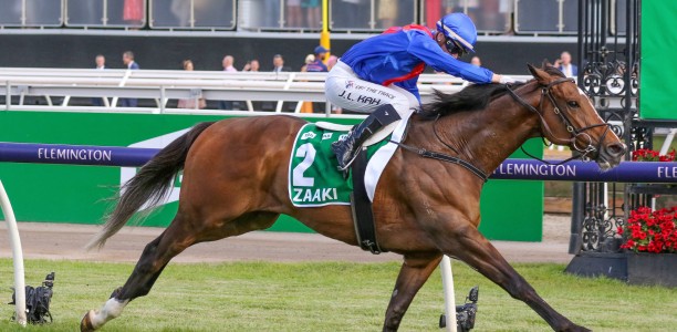 Zaaki short odds in the Northerly Stakes field