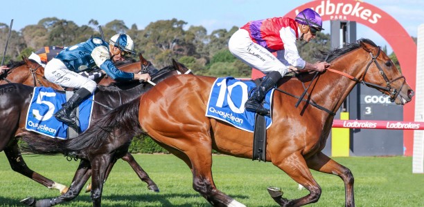Will Ain’tnodeeldun take up Ballarat Cup option