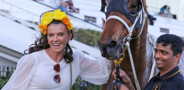 Vianarra chases Magic Millions dream