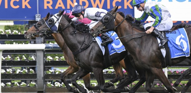 Regan Bayliss shows Razor Sharp timing