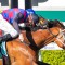 Dom To Shoot causes blow out in Northerly Stakes