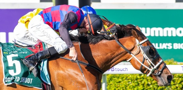 Dom To Shoot causes blow out in Northerly Stakes