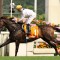 Golden Sixty odds crunched to win the Hong Kong Mile