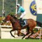 Cox Plate winner Romantic Warrior short odds in the Hong Kong Cup