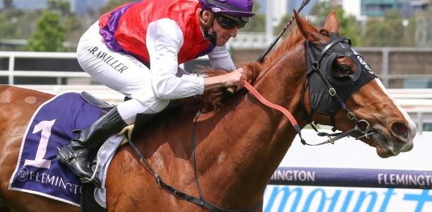 Warning gearing up for Magic Millions Subzero contest