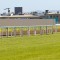 Gold Coast celebrates successful debut of new turf track