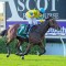 Emergency heads odds in wide open The Gold Rush field at Ascot