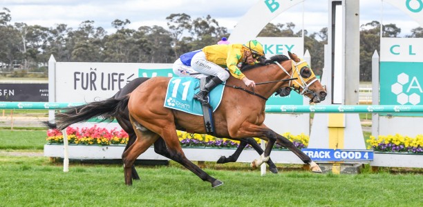Victorian Derby fourth place getter to be sold on Inglis Digital