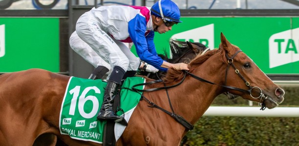 Wyong Millions for Maher & Eustace