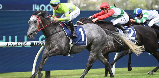 Lekvarte chasing hat-trick at Randwick