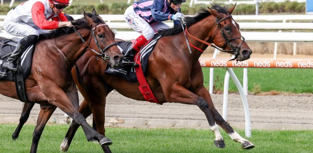 Mornington trip pays off for Craig Williams
