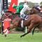 Far Too Easy short odds for the Lough Neagh Stakes