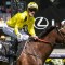 Melbourne Cup, Caulfield Cup champion sidelined with injury
