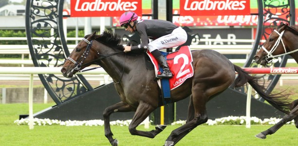 Encoder unlocks staying potential in Grand Prix Stakes