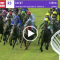 Damien Oliver Gold Rush results and replay – 2023