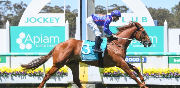 Price and Kent strike gold with Otago